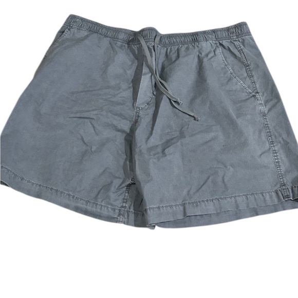 American Eagle Gray Flat Front Shorts with Relaxed Fit - Picture 3 of 7